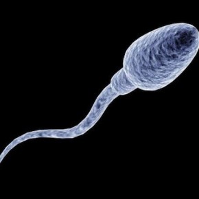 6 способов неожиданного применения человеческой спермы 