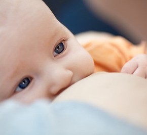 Поведение ребенка у груди: как научить его хорошим манерам 