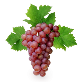 Красный виноград защищает сердце