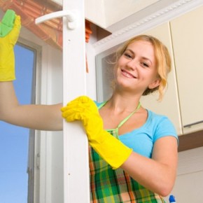 7 советов по мытью стекол домашними экологическими средствами. Долой химию
