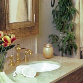 Какие комнатные растения идеально подходят для ванной комнаты?