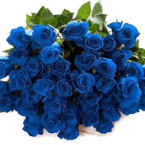 Как сделать синие розы
