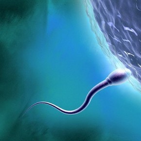 Как узнать, хорошая ли у мужчины сперма