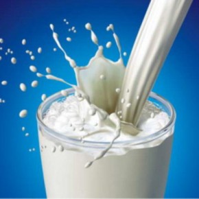 Обезжиренное молоко не способствует потере веса