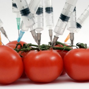 Что такое ГМО и как это работает?